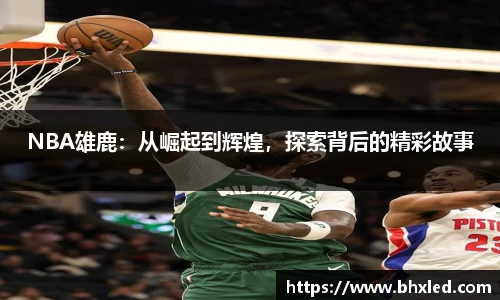 NBA雄鹿：从崛起到辉煌，探索背后的精彩故事